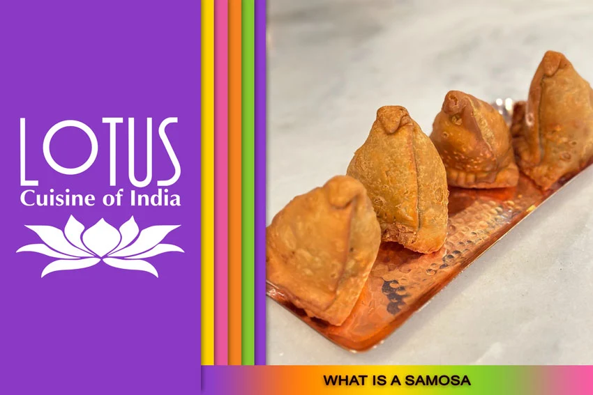 Lotus Cuisine of India - Crispy, Savory Delight - Samosa